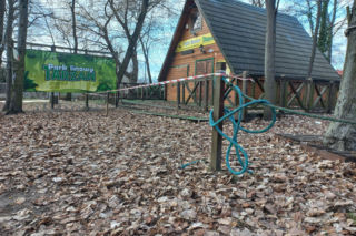 Rozbiórka Parku Linowego Tarzan w Parku Tysiąclecia w Lesznie