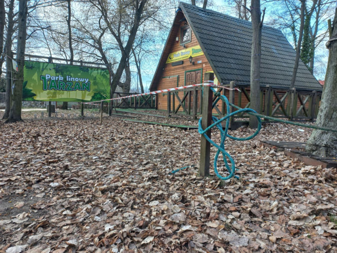 Rozbiórka Parku Linowego Tarzan w Parku Tysiąclecia w Lesznie