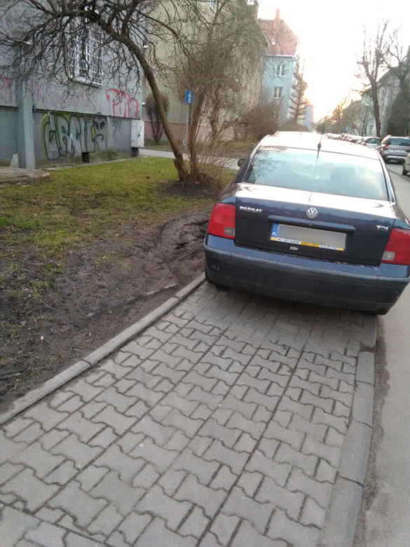 Parkują na przejściach dla pieszych, skrzyżowaniach i... przystankach autobusowych. A Straż Miejska jest bezlitosna [GALERIA]