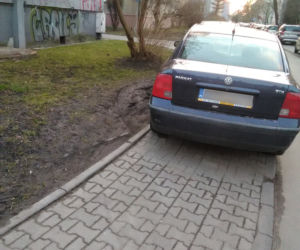 Parkują na przejściach dla pieszych, skrzyżowaniach i... przystankach autobusowych. A Straż Miejska jest bezlitosna [GALERIA]