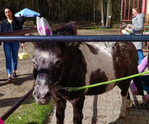 Konna święconka w Szczecinie