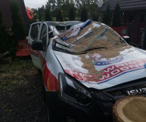 Powalone drzewo zniszczyło auto Nadgoplańskiego WOPR Kruszwica