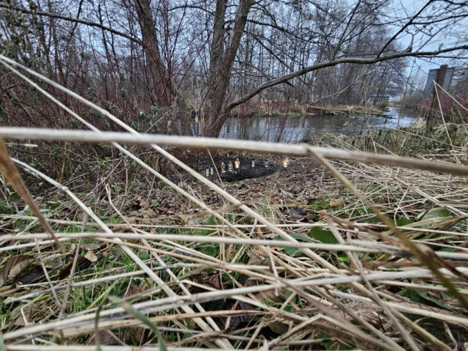 Poćwiartował ciało współlokatora i zakopał w parku! Po wszystkim napisał do matki Mateusza