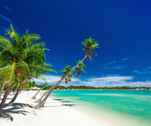 sztuczna inteligencja wybrała 5 najlepszych miejsc na wakacje 2026 - Fiji