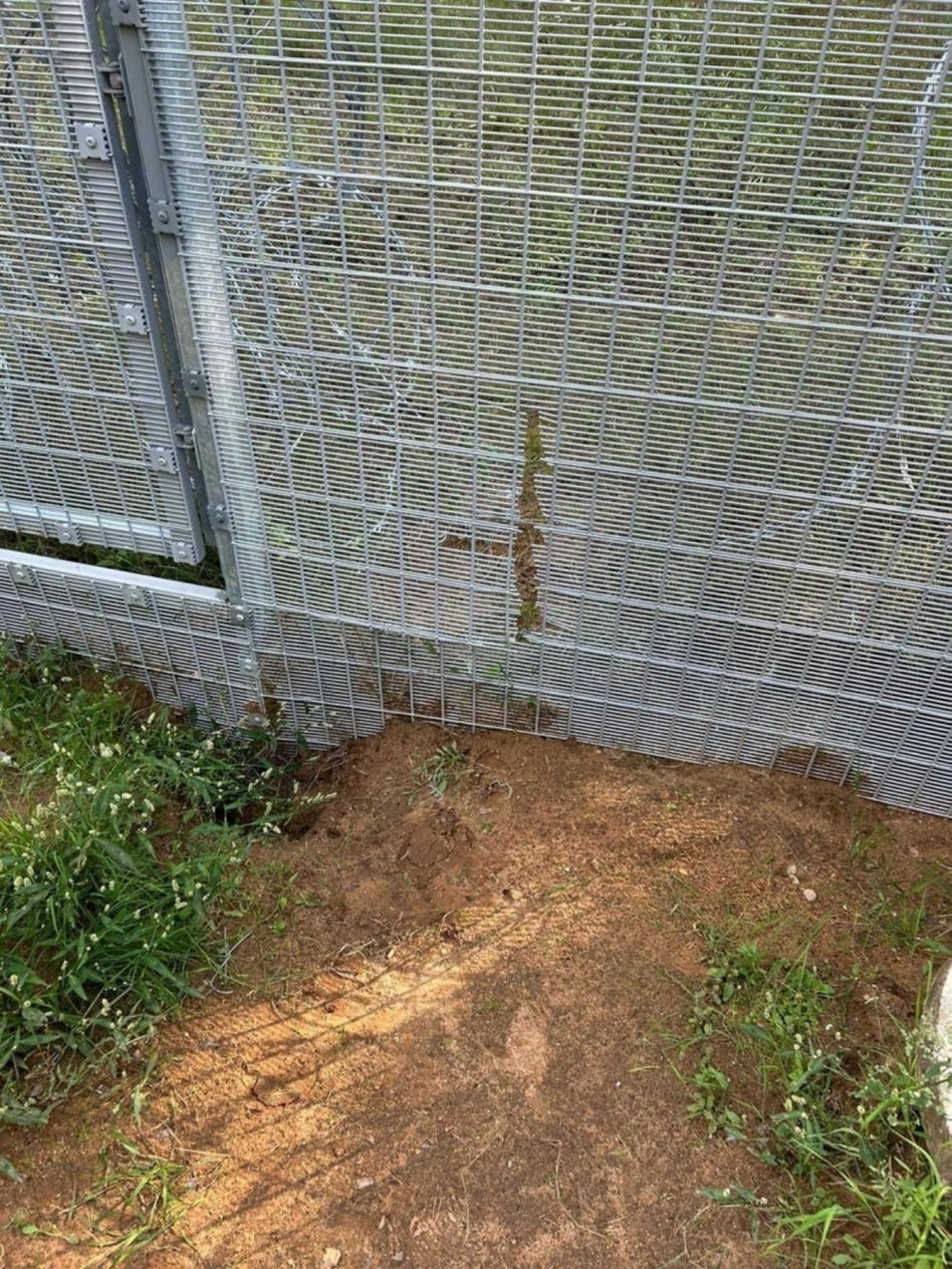 Łotwa: Migranci sforsowali zaporę na granicy. Pomogły białoruskie służby.