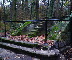 Teren wokół Wieży Quistorpa został uporządkowany