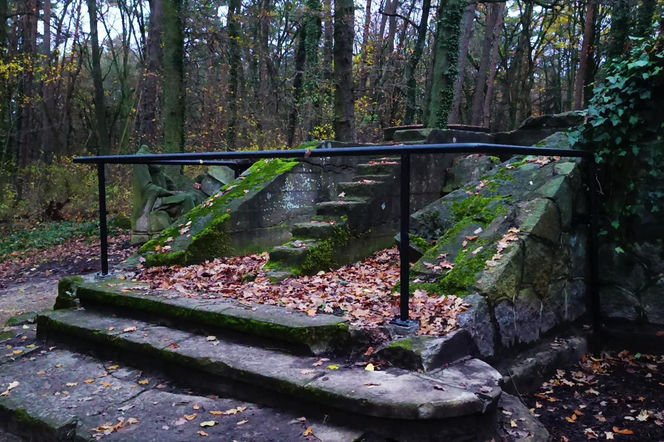 Teren wokół Wieży Quistorpa został uporządkowany