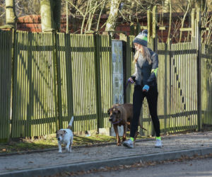 Ukochane psy Piotra dają jej radość 