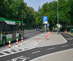 Nowa ścieżka rowerowa w Białymstoku. Ochrania systemy korzeniowe drzew