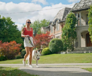 Żona dla Polaka, sezon 2