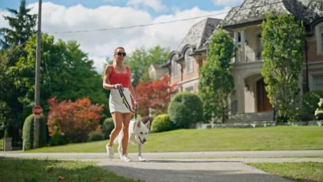 Żona dla Polaka, sezon 2