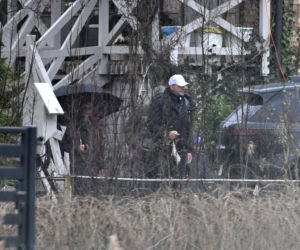 Prawdziwe paparazzi Rozenków nad morzem