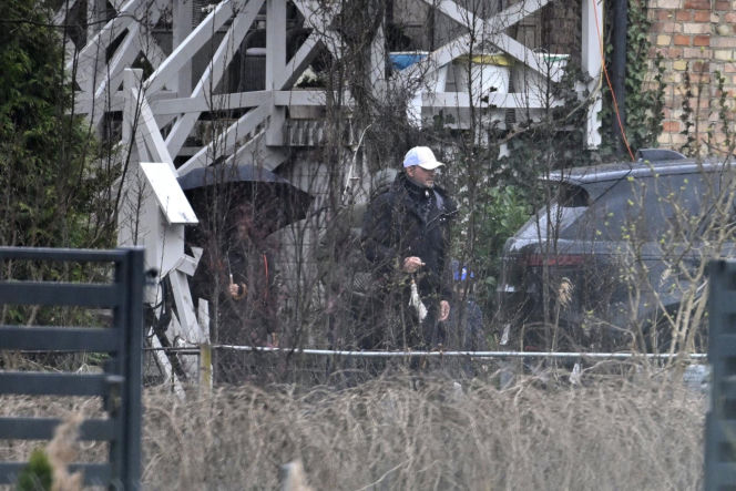 Prawdziwe paparazzi Rozenków nad morzem