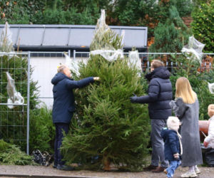 Donald Tusk z zięciem dźwigają gigantyczną choinkę. A za nimi drepcze Kasia z drugą. Wnusie premiera jak księżniczki