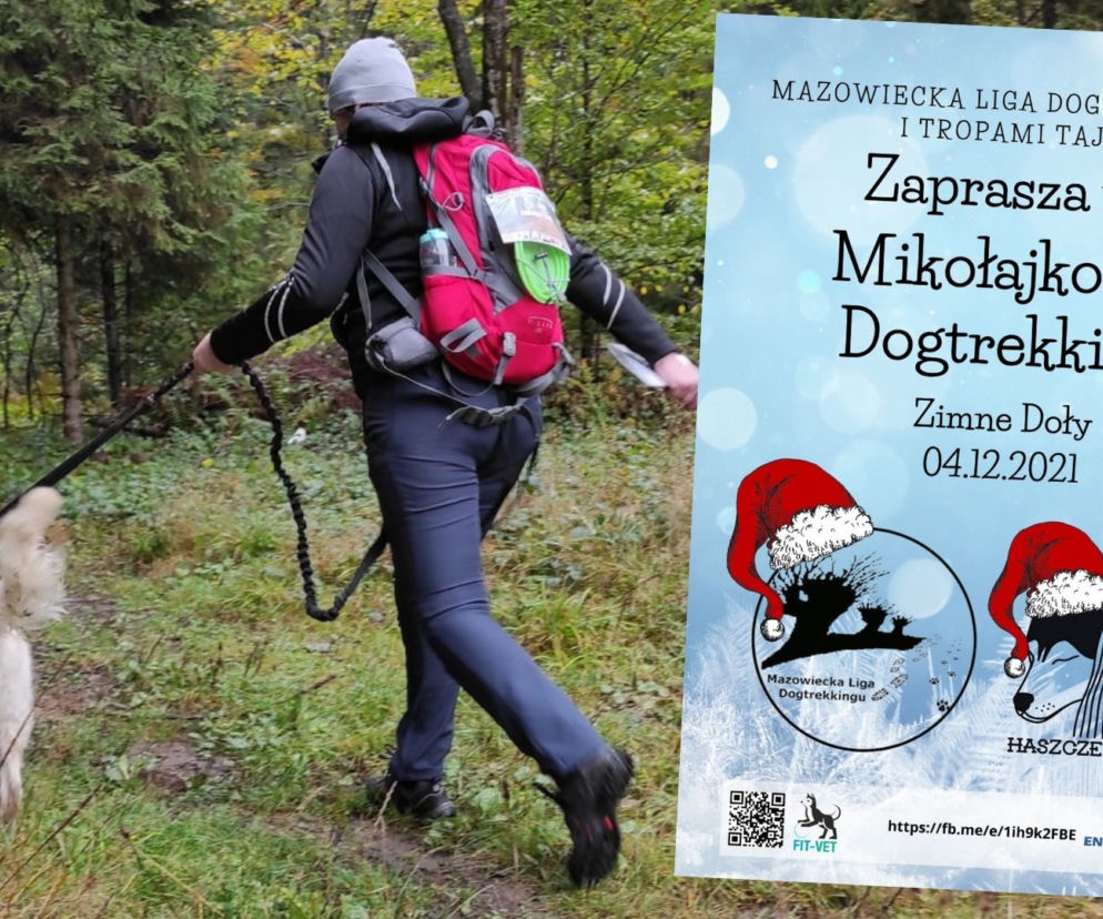 Mikołajkowy Dogtrekking