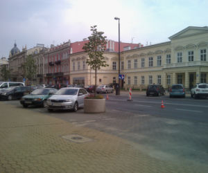 Nowa zieleń w Lublinie