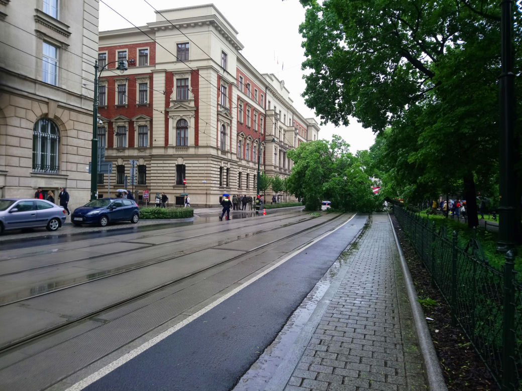 Kraków: O krok od tragedii na Basztowej. Potężne drzewo runęło na ulicę i torowisko