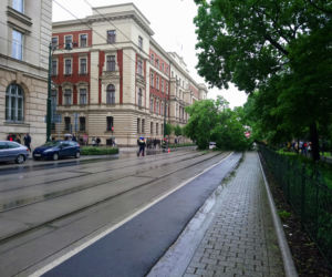 Kraków: O krok od tragedii na Basztowej. Potężne drzewo runęło na ulicę i torowisko