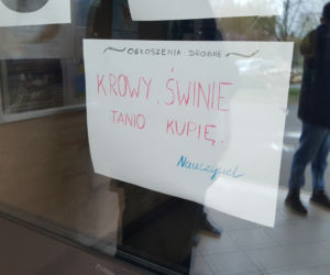 Murem za nauczycielami. Bydgoscy uczniowie wspierają belfrów w ich strajku! [ZDJĘCIA]