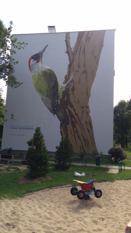 Ptasie murale na Kozłówku