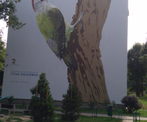 Ptasie murale na Kozłówku
