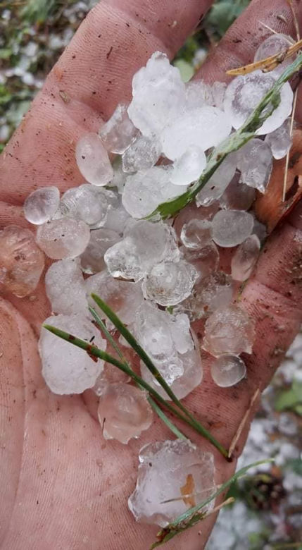 Niszczycielka nawałnica pod Świeciem! Przerażające zdjęcia