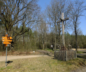 Zrobił sobie w lesie kwarantannę