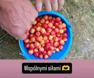 Skorulski