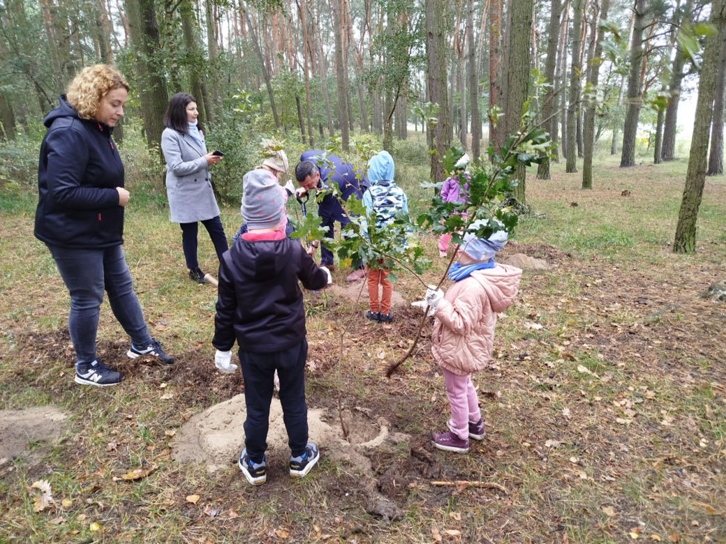Dębowy Elektryczny Las został zasadzony nad Siedleckim zalewem w ramach programu Polska Stolica Recyklingu
