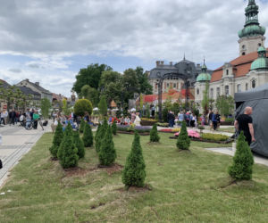 Daisy Days w Pszczynie przyciągnęły tłumy turystów