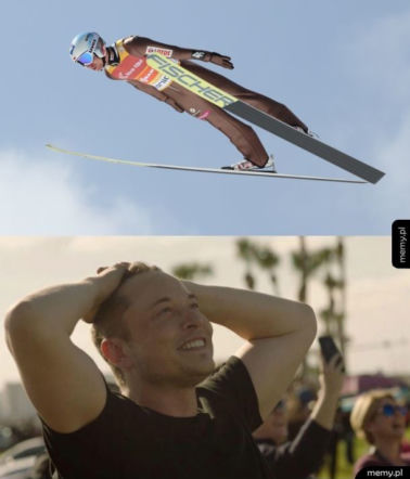 Kamil Stoch - memy, żarty dowcipy. Zbiór najlepszych obrazków! 