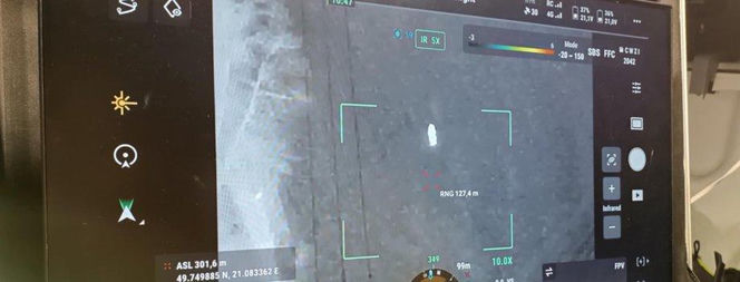 Agresywne byki terroryzowały Moszczenicę