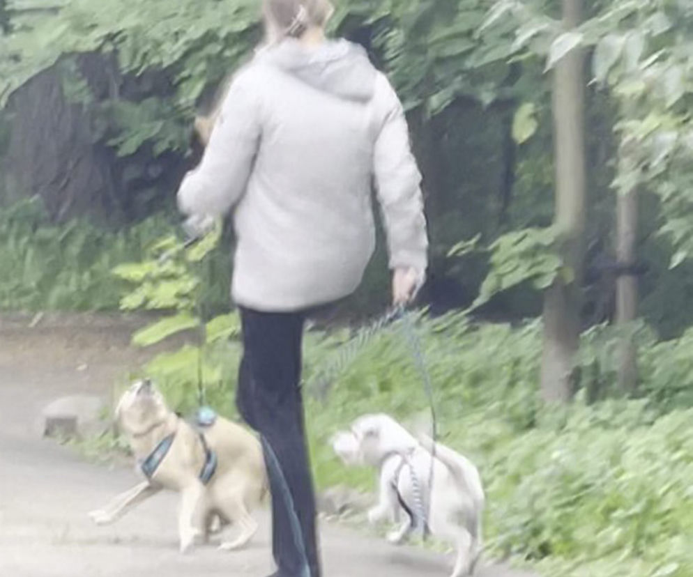 Bestialsko znęcała się nad psami. Po kopnięciu, zwierze wydał głośny pisk