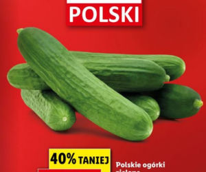 Wielkie promocje Lidla