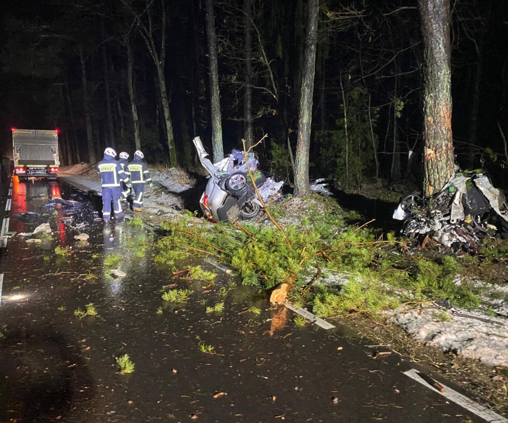 Mały Płock. Śmiertelny wypadek na DK 63. Nie żyje kierowca [ZDJĘCIA]