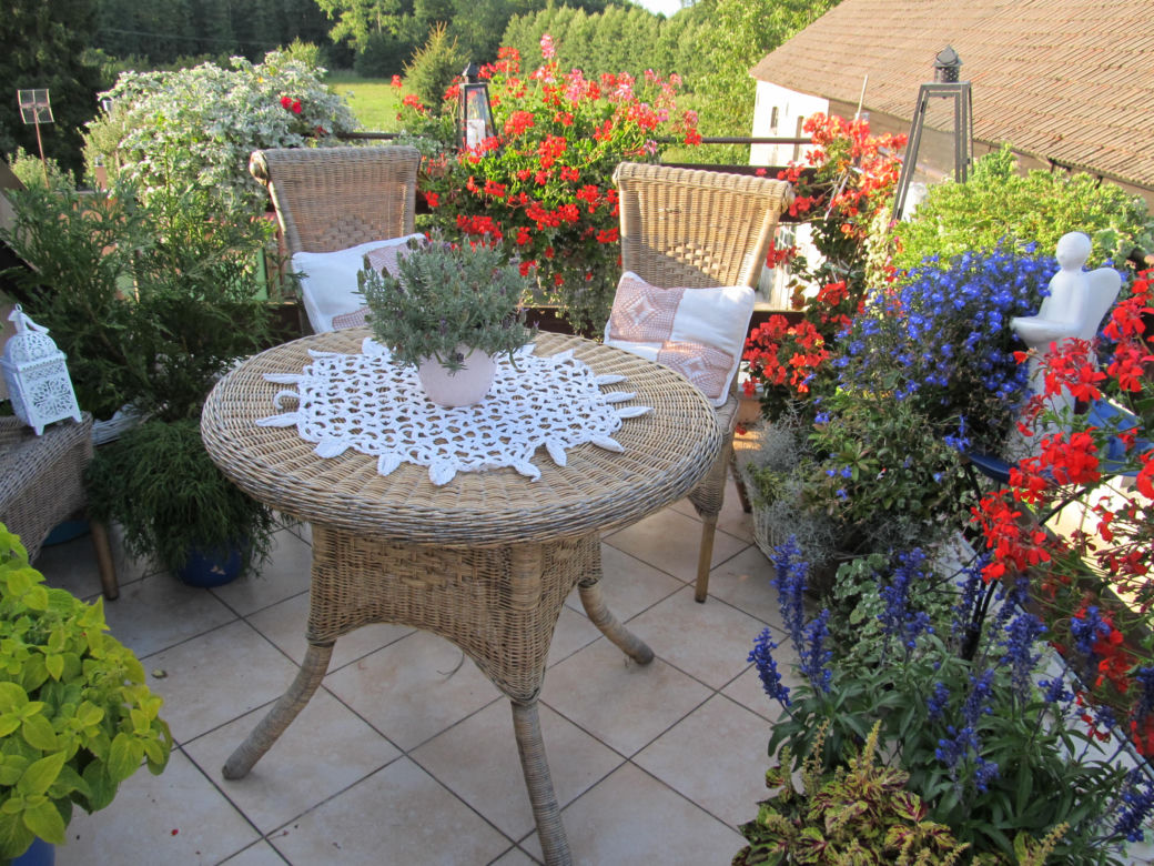 kolorowo i pachnąco - balkon latem 2014 zdjecie nr 2