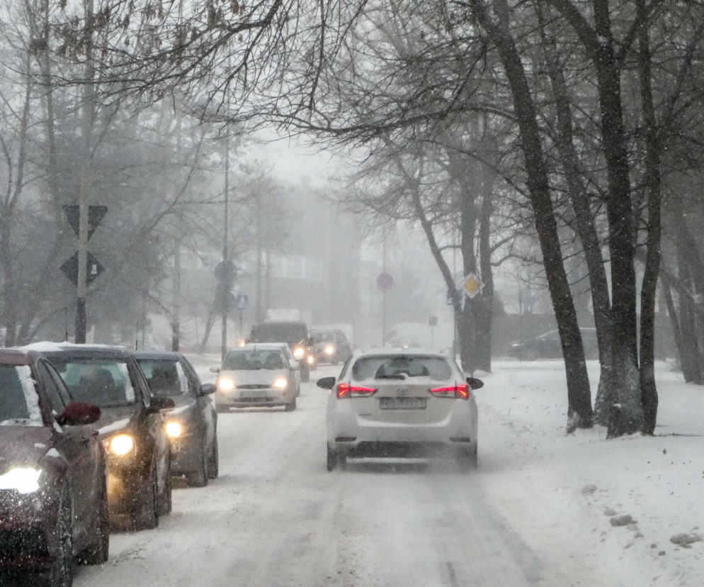 Śnieżyca