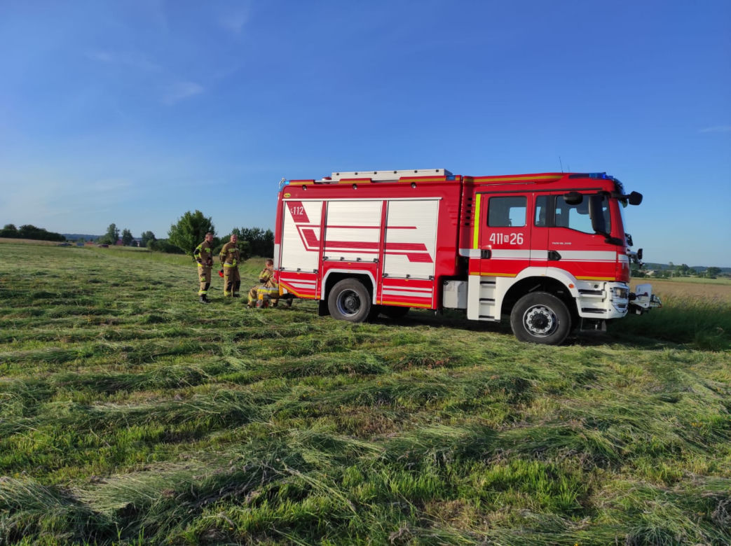 "Diabeł" zabił Zbyszka. Rozjuszony byk zaatakował rolnika pod Braniewem