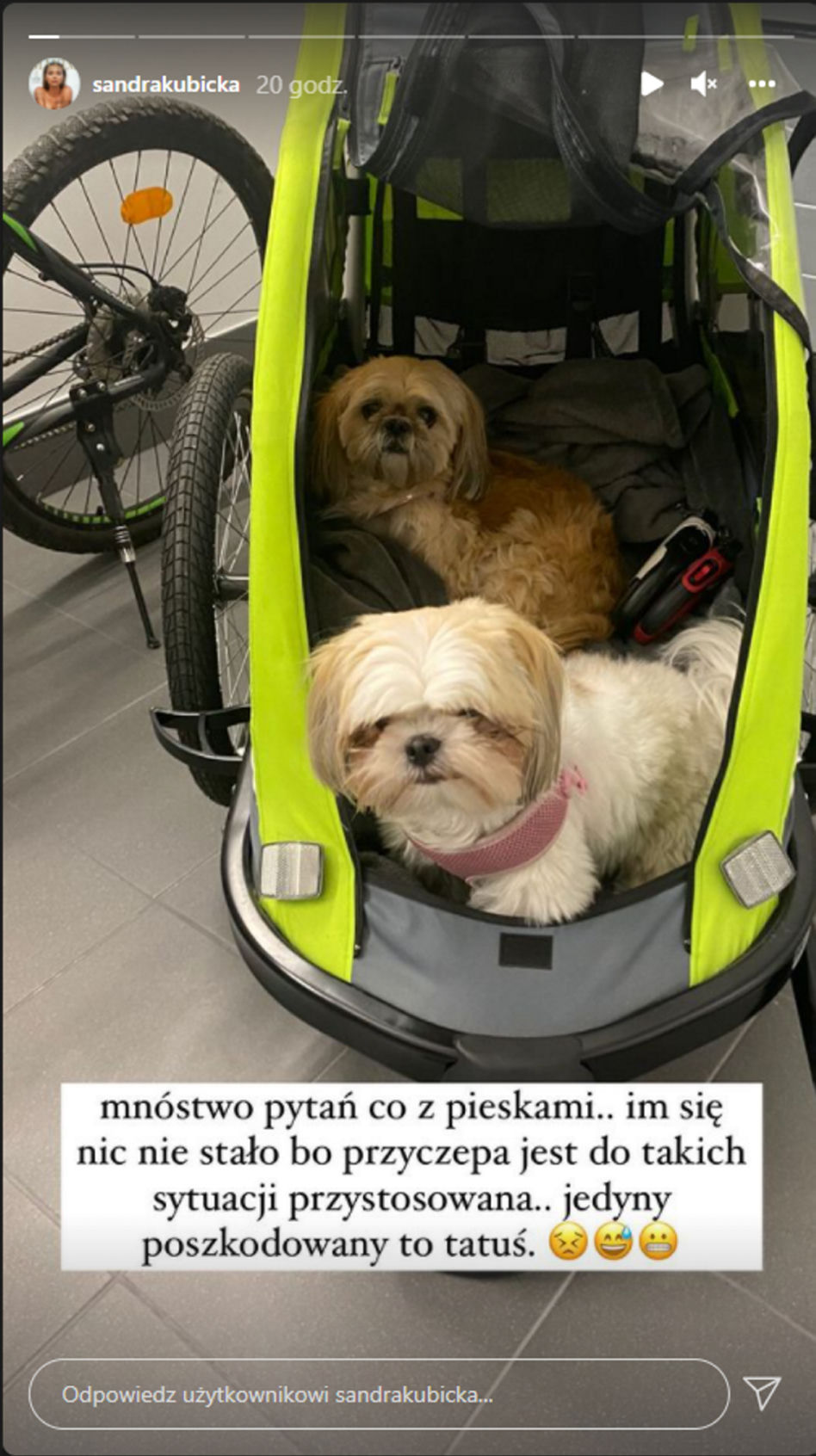 Kubicka z psami