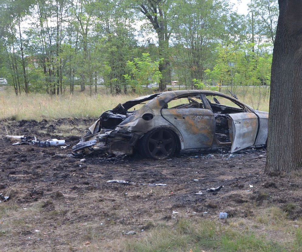 Lubuskie: Na drogę wybiegł dzik. Luksusowy mercedes stanął w ogniu, nie żyją dwie osoby