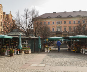 Nowe znaki  flowers & ride na pl. Solnym we Wrocławiu