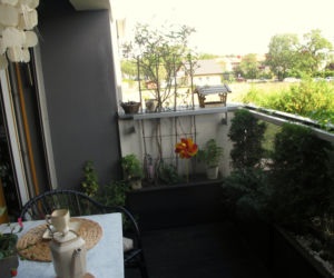 Mój balkon 2014 zdjecie nr 3