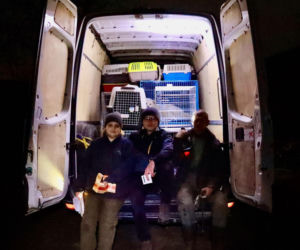 Od początku wojny ratowali prawie 600 zwierząt z Ukrainy