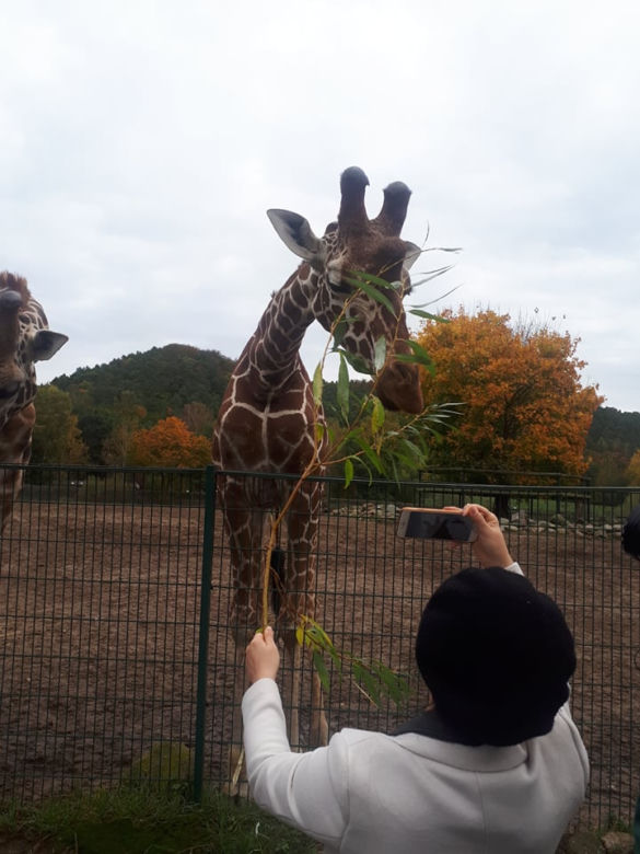 Nowi mieszkańcy w gdańskim zoo!