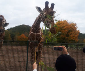 Nowi mieszkańcy w gdańskim zoo!