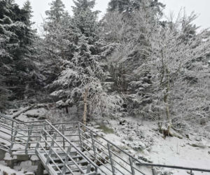 Majestatycznie, zimowo, jak w bajkowej Narnii. Tak Nowy Rok wita Święty Krzyż