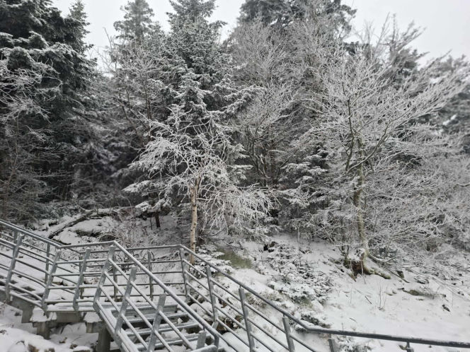Majestatycznie, zimowo, jak w bajkowej Narnii. Tak Nowy Rok wita Święty Krzyż