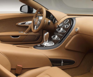 Rembrandt Bugatti Veyron Grand Sport Vitesse