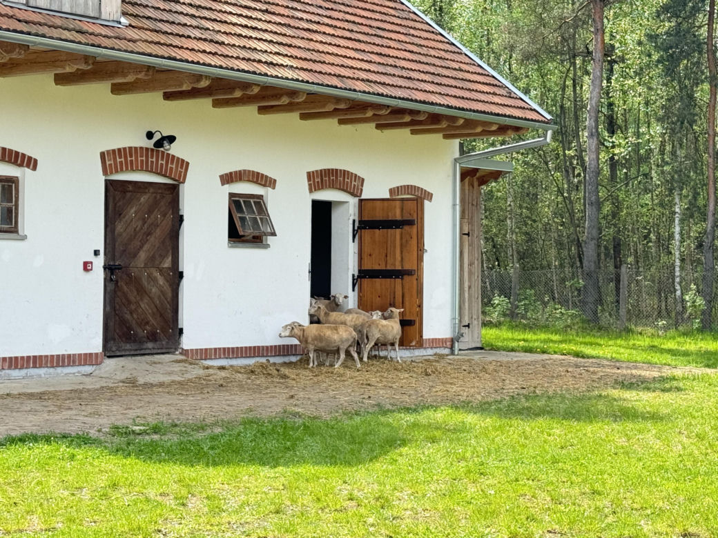 To wyjątkowe miejsce na Podkarpaciu