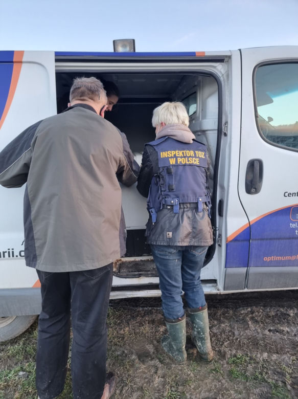 Koszmar zwierząt koło Limanowej. 33 schorowane psy w jednym pomieszczeniu! Zdjęcia mrożą krew w żyłach
